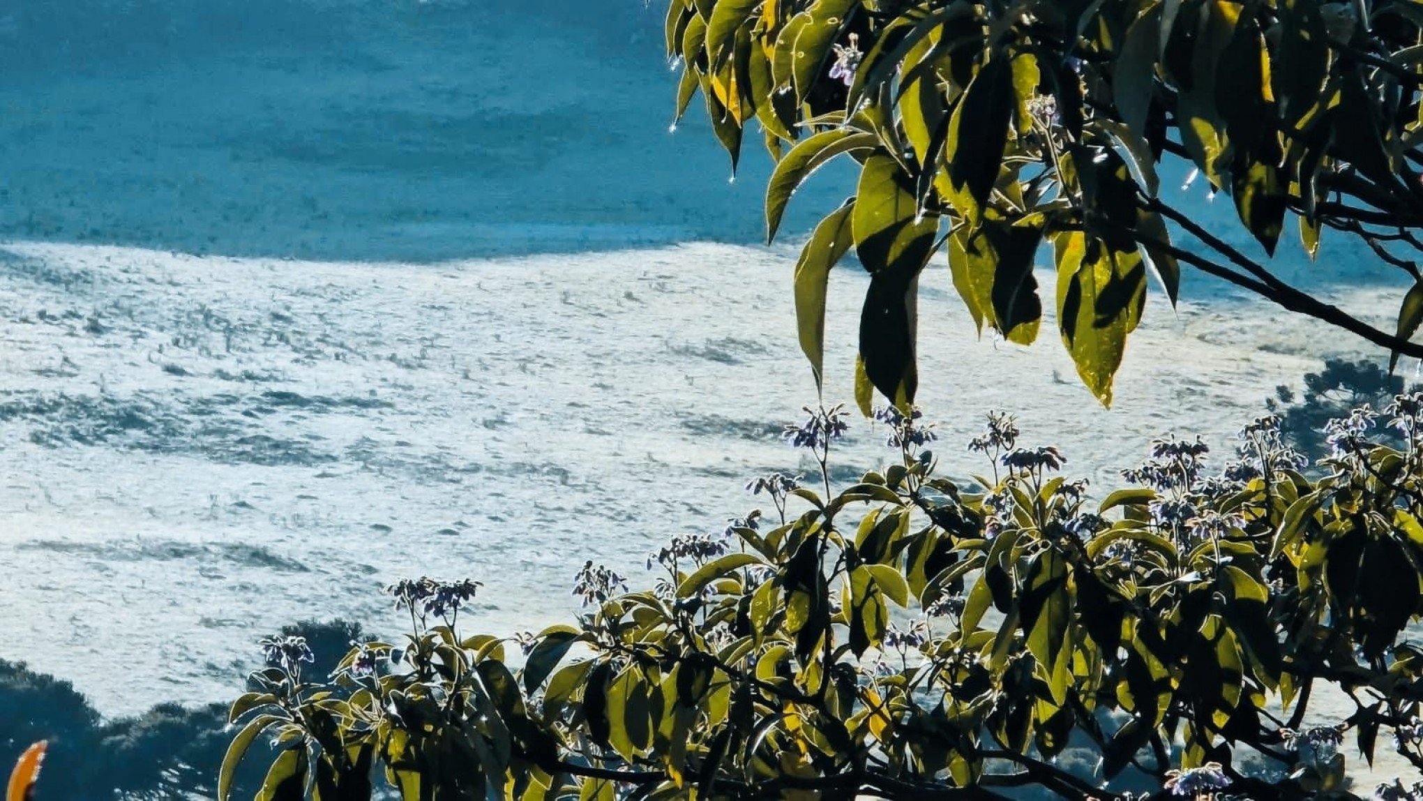 Temperaturas despencam no Sul do Brasil e termômetros marcam -0.3°C em Santa Catarina
