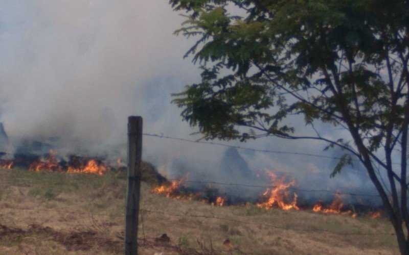 Incêndio atinge terreno na área central de Novo Hamburgo | abc+