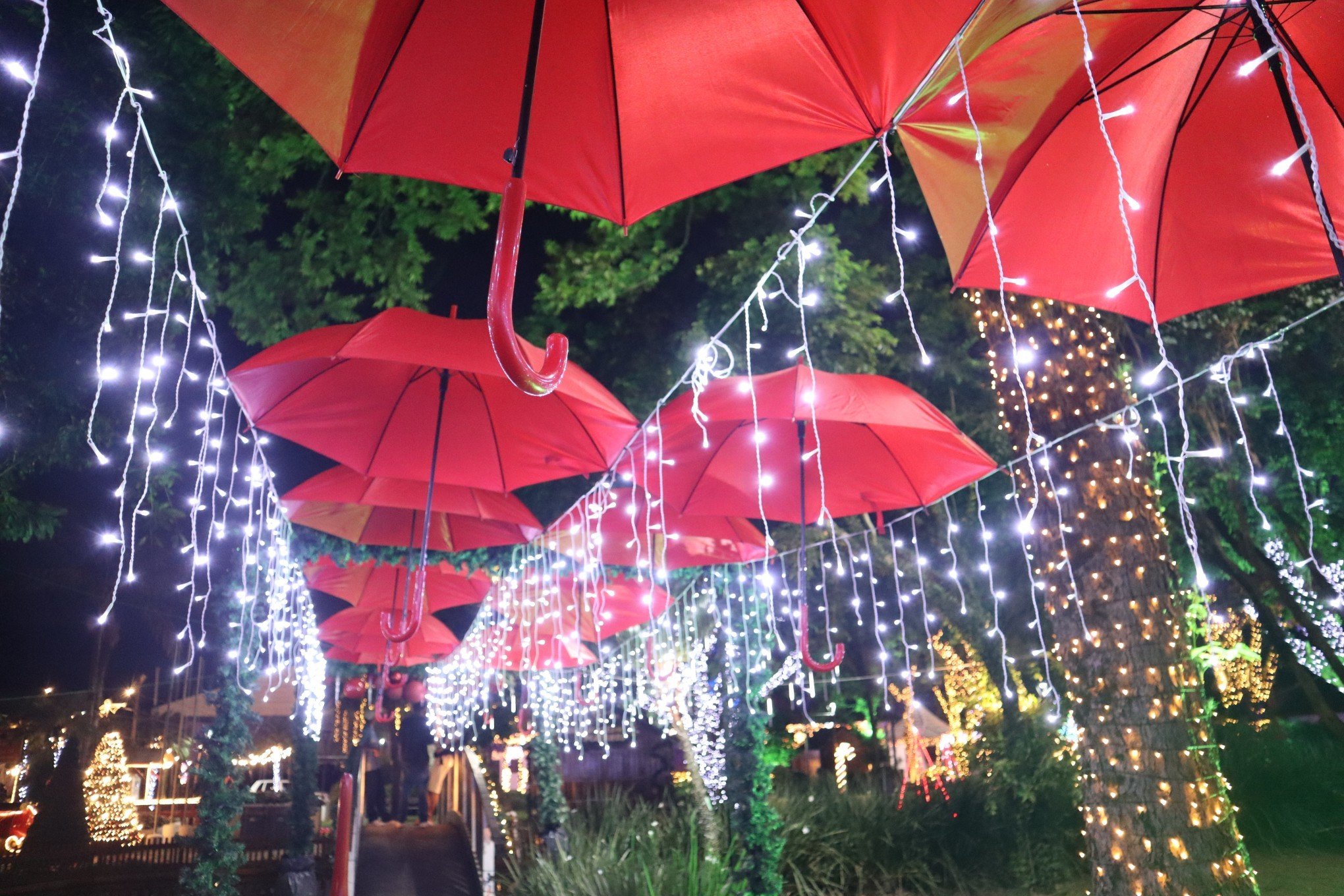 NATAL DOS ANJOS: Uma festa moldada pelo trabalho voluntário e o amor por Dois Irmãos