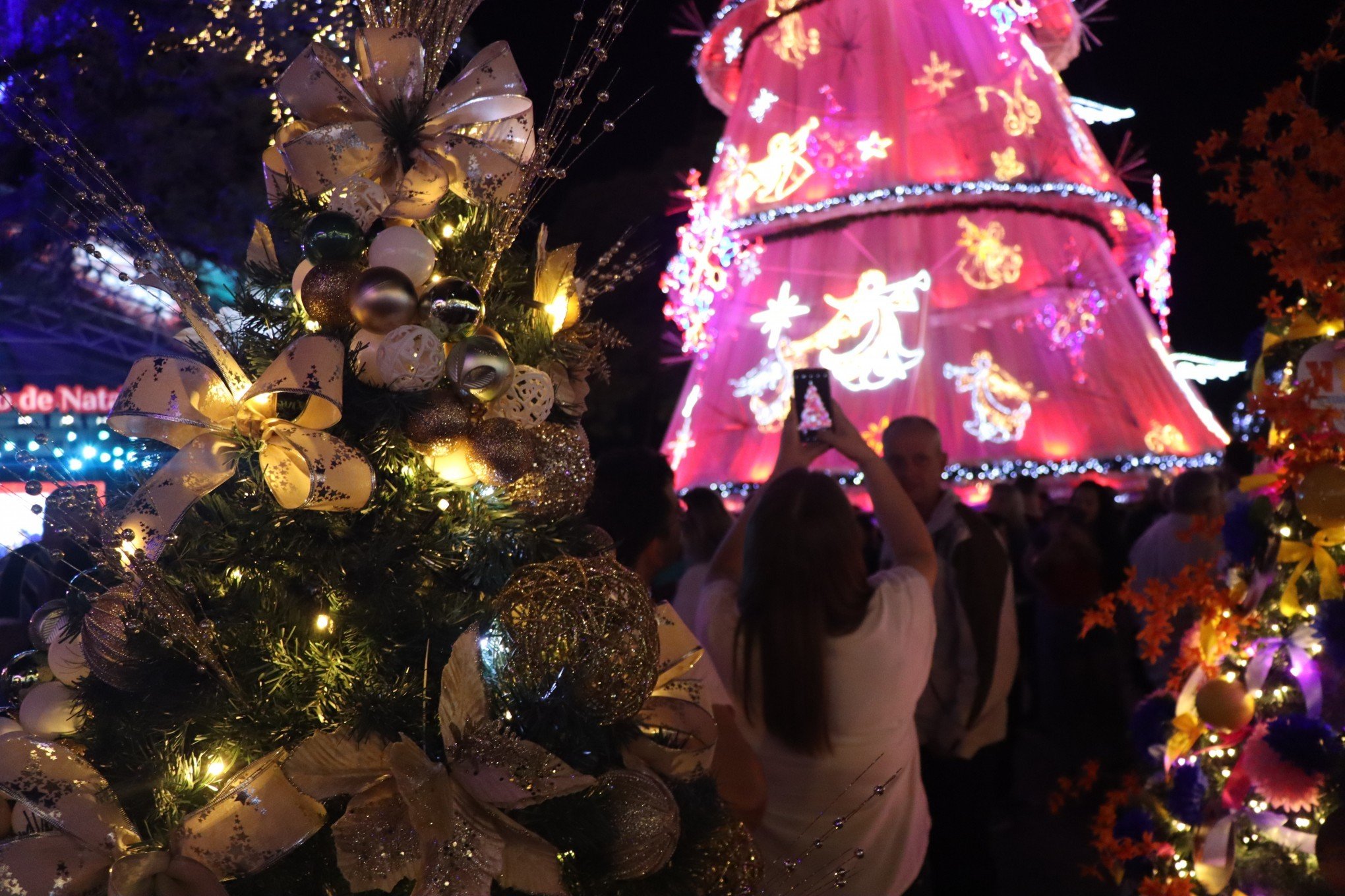 VÍDEO: Veja o momento do acendimento da árvore do Natal dos Anjos de Dois Irmãos