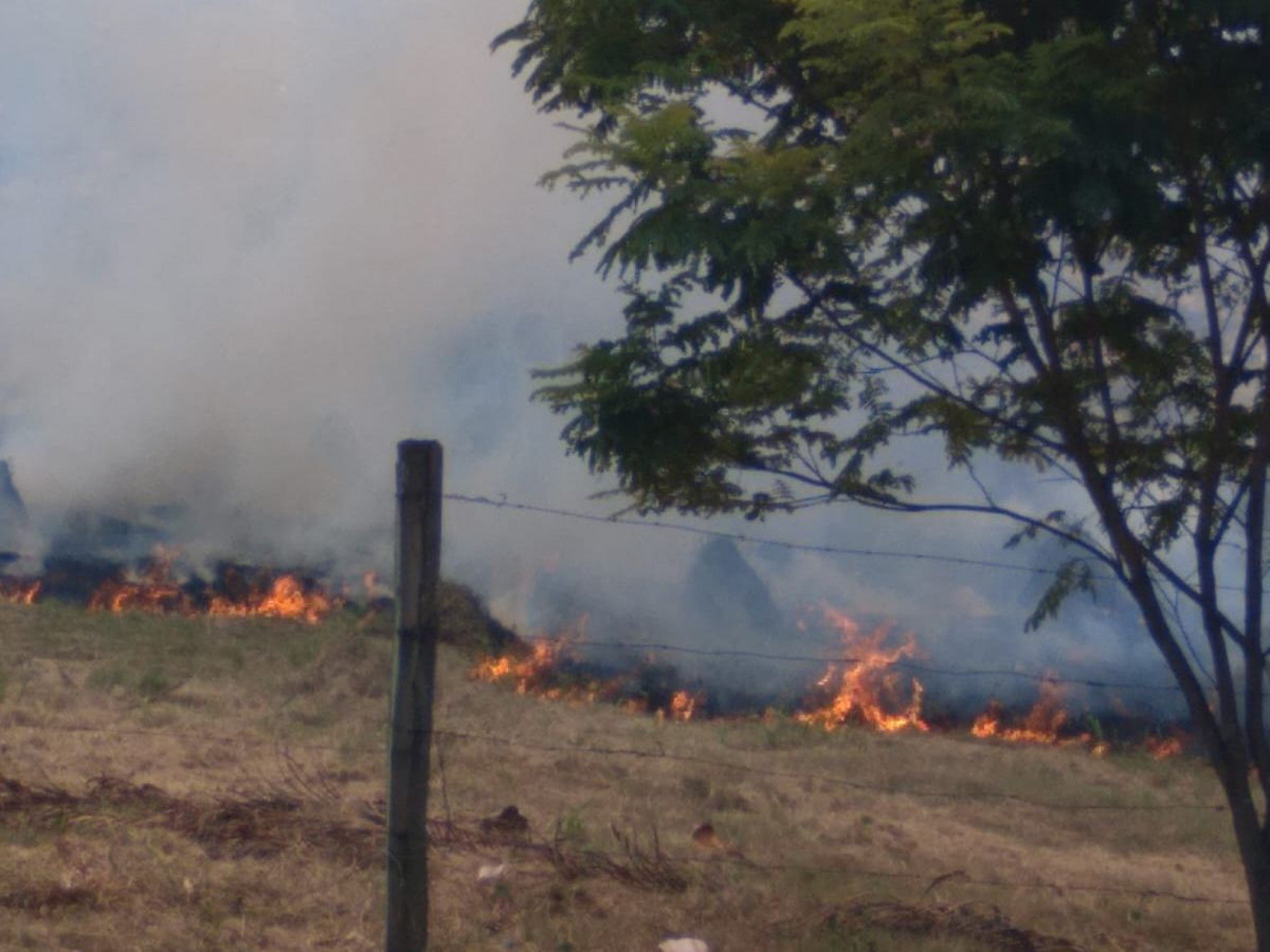 Incêndio atinge terreno e chama atenção de moradores de Novo Hamburgo