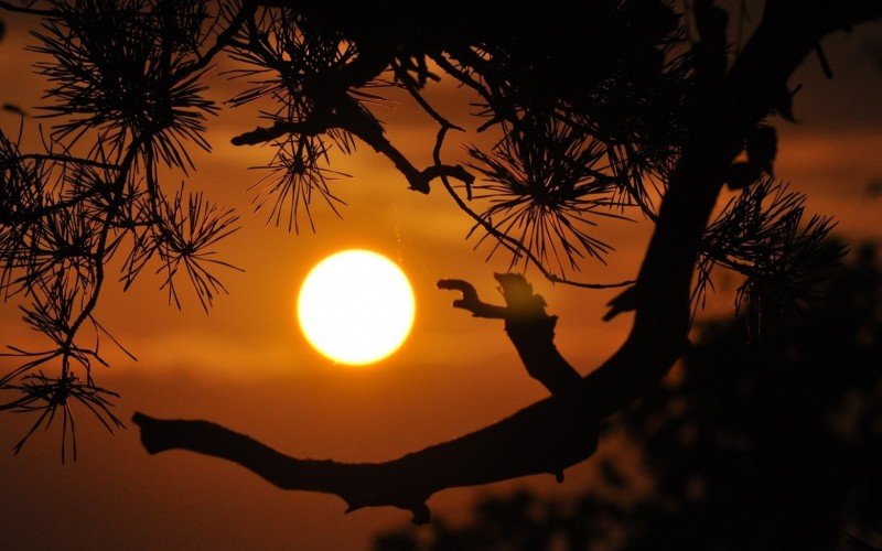 Sol e calor - clima escaldante alerta para cuidados com a saúde | abc+