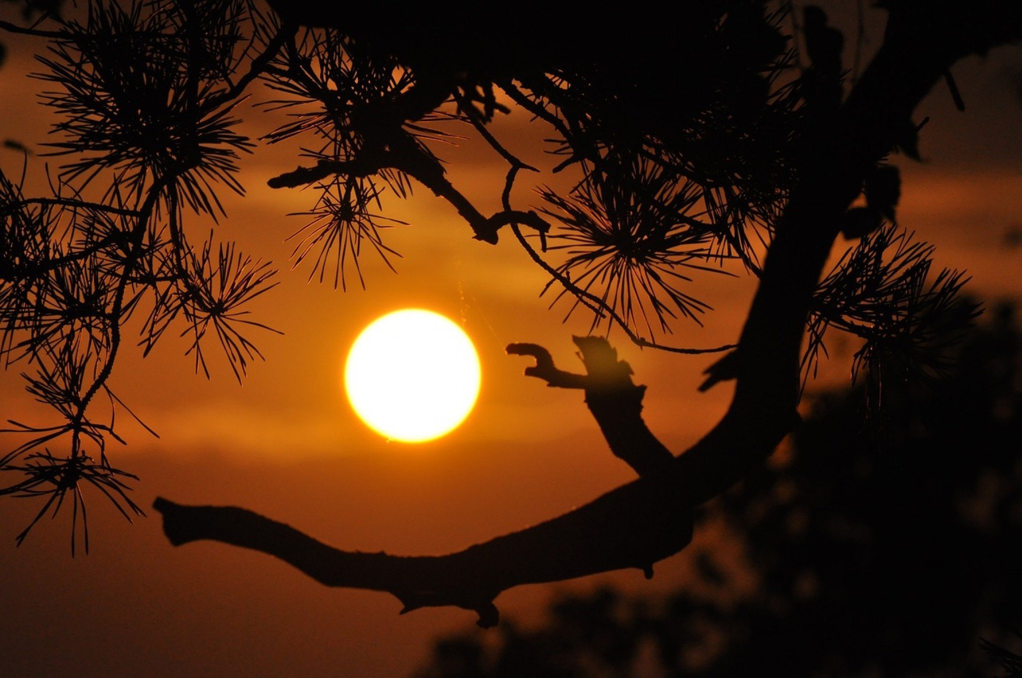 PREVISÃO DO TEMPO: Achou quente? Saiba quando será o pico da onda de calor neste domingo