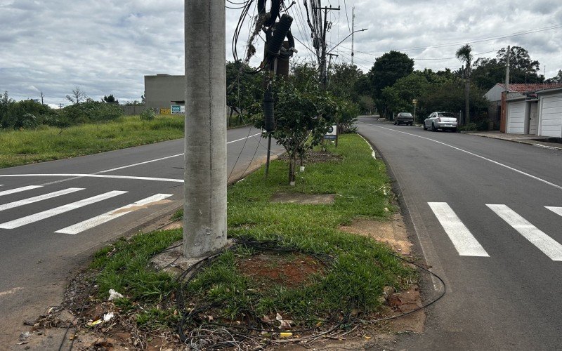 Pássaros fizeram ninho em maçaroca de fios pendurados na esquina das ruas Adão Rodrigues de Oliveira e Carlos Germano Bürckle