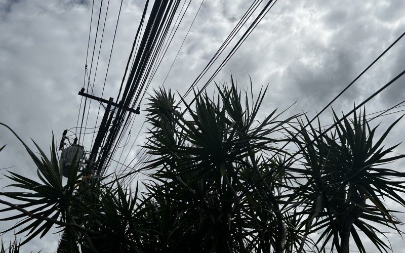 Pássaros fizeram ninho em maçaroca de fios pendurados na esquina das ruas Adão Rodrigues de Oliveira e Carlos Germano Bürckle