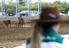 VÍDEO: Fim dos rodeios em Canoas? Projeto de lei discute a proibição de eventos que envolvam provas com animais