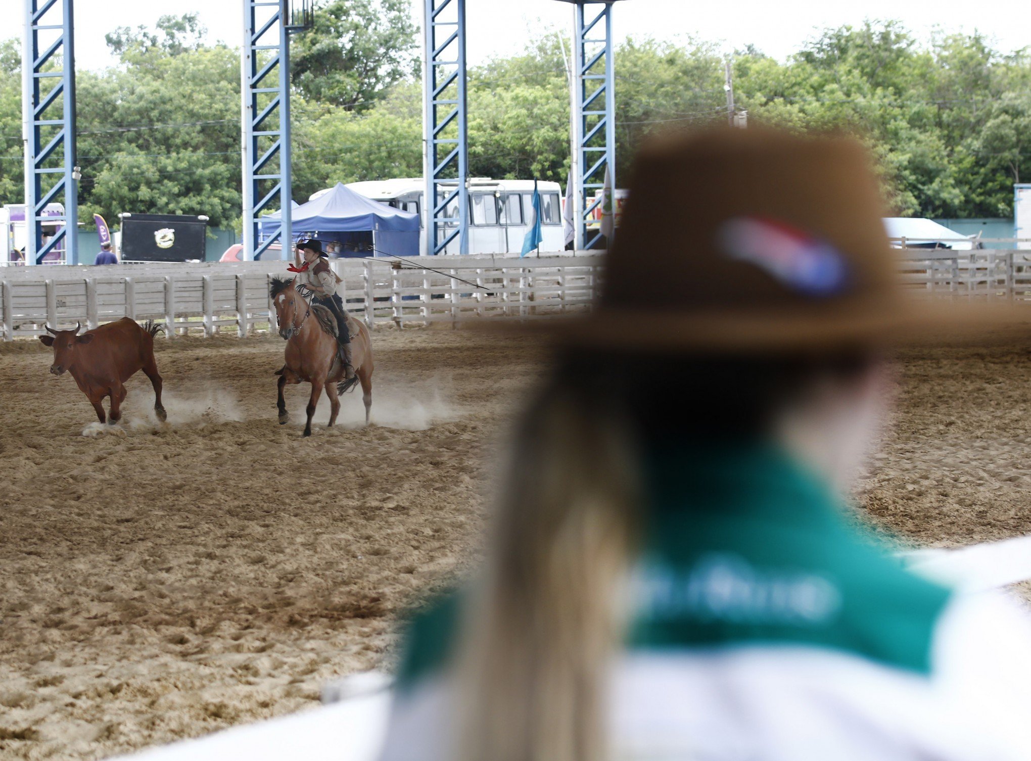 VÍDEO: Fim dos rodeios em Canoas? Projeto de lei discute o fim de eventos que envolvam provas com animais