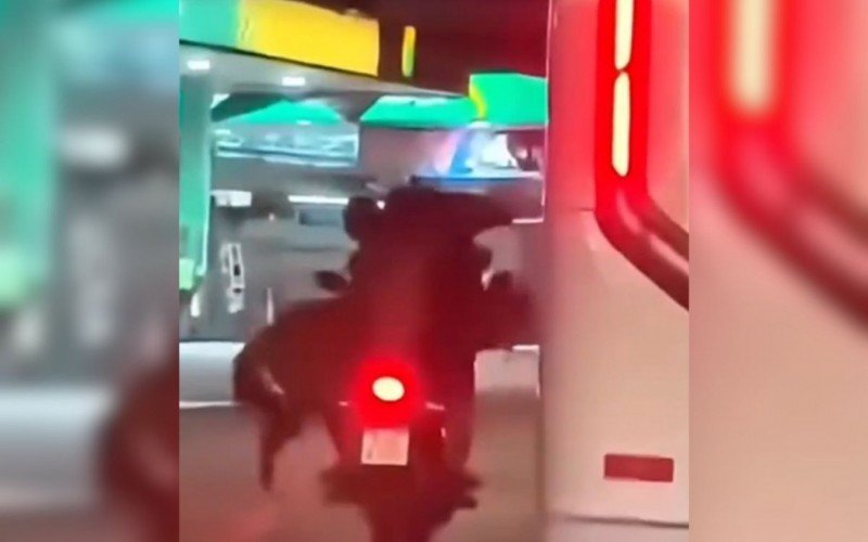 Cavalo é transportado em moto por duas pessoas | abc+