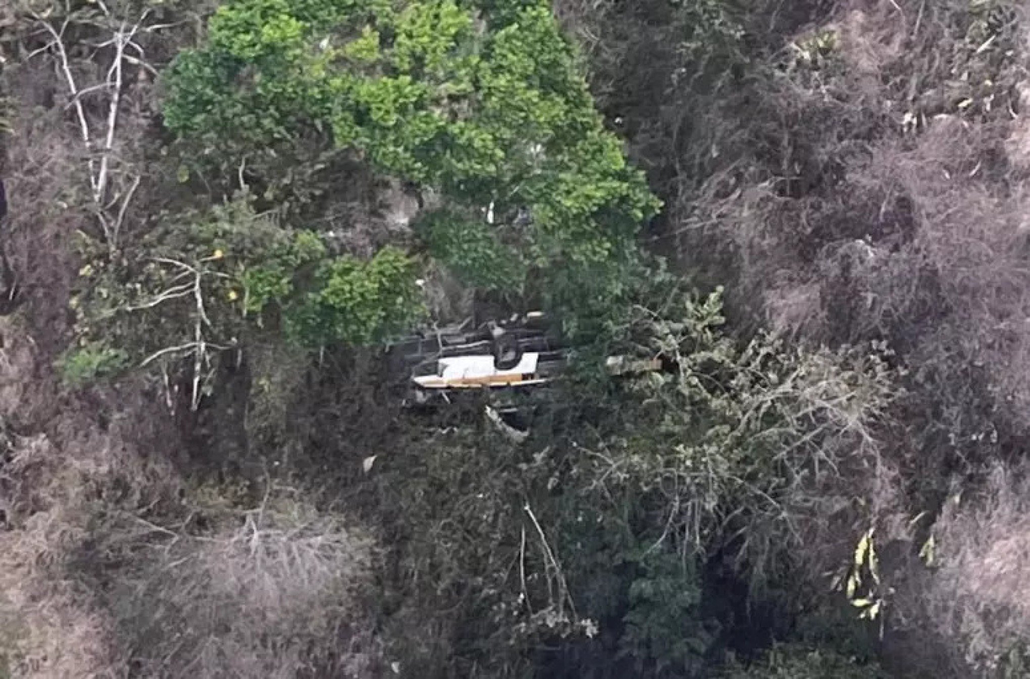 Acidente com ônibus escolar deixa 18 mortos em Alagoas