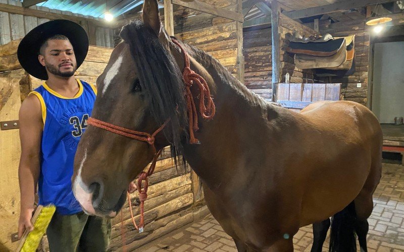 Cavalos são cuidados em espaço especial no interior