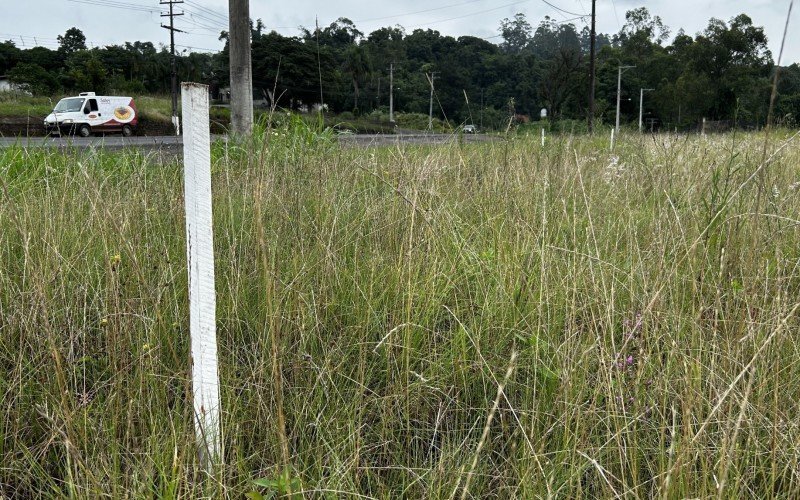 Serviço de topografia chegou a ser feito, mas estacas começam a ser encobertas pelo mato