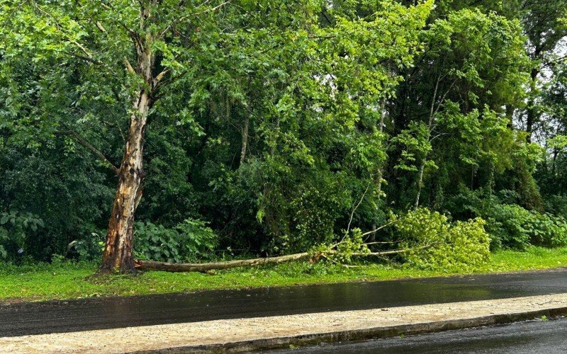 Ciclone bomba causa tempestades no Vale do Sinos e deixa estragos pela região | abc+