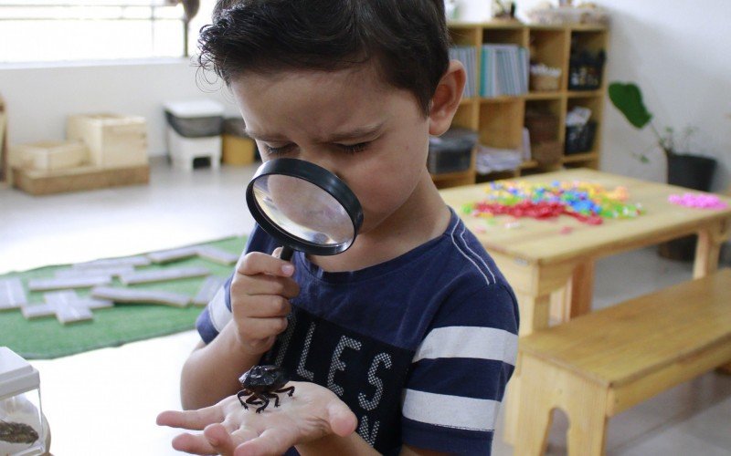 "Gosto de aranha porque é boazinha. Tem uma na minha casa", conta Leonardo Canalle, 5 anos, enquanto observa um besouro | abc+