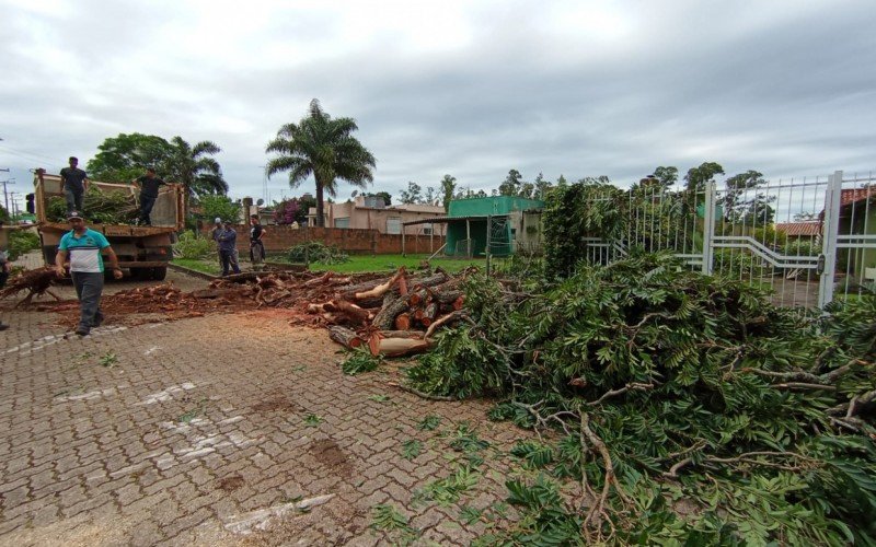 Temporal provocou queda de árvores em Candiota