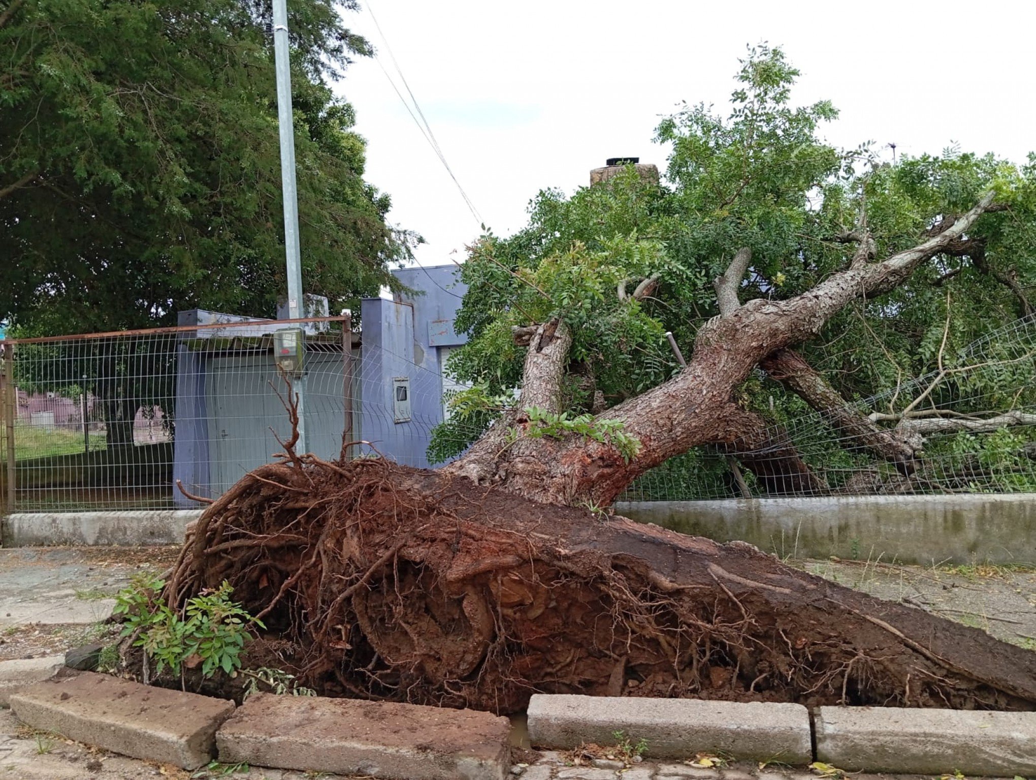 Veja fotos de cidade do RS atingida por tempestade nesta sexta-feira