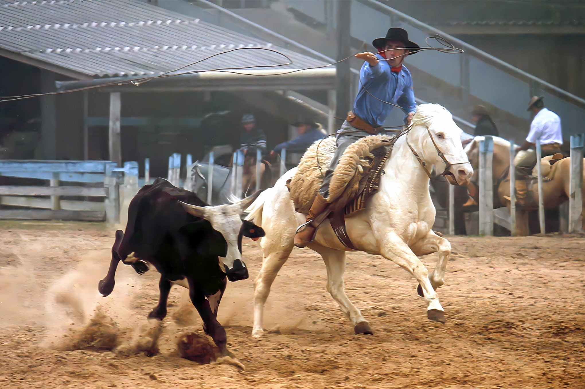 Temporada de rodeios crioulos será aberta em Canela em 2025; confira