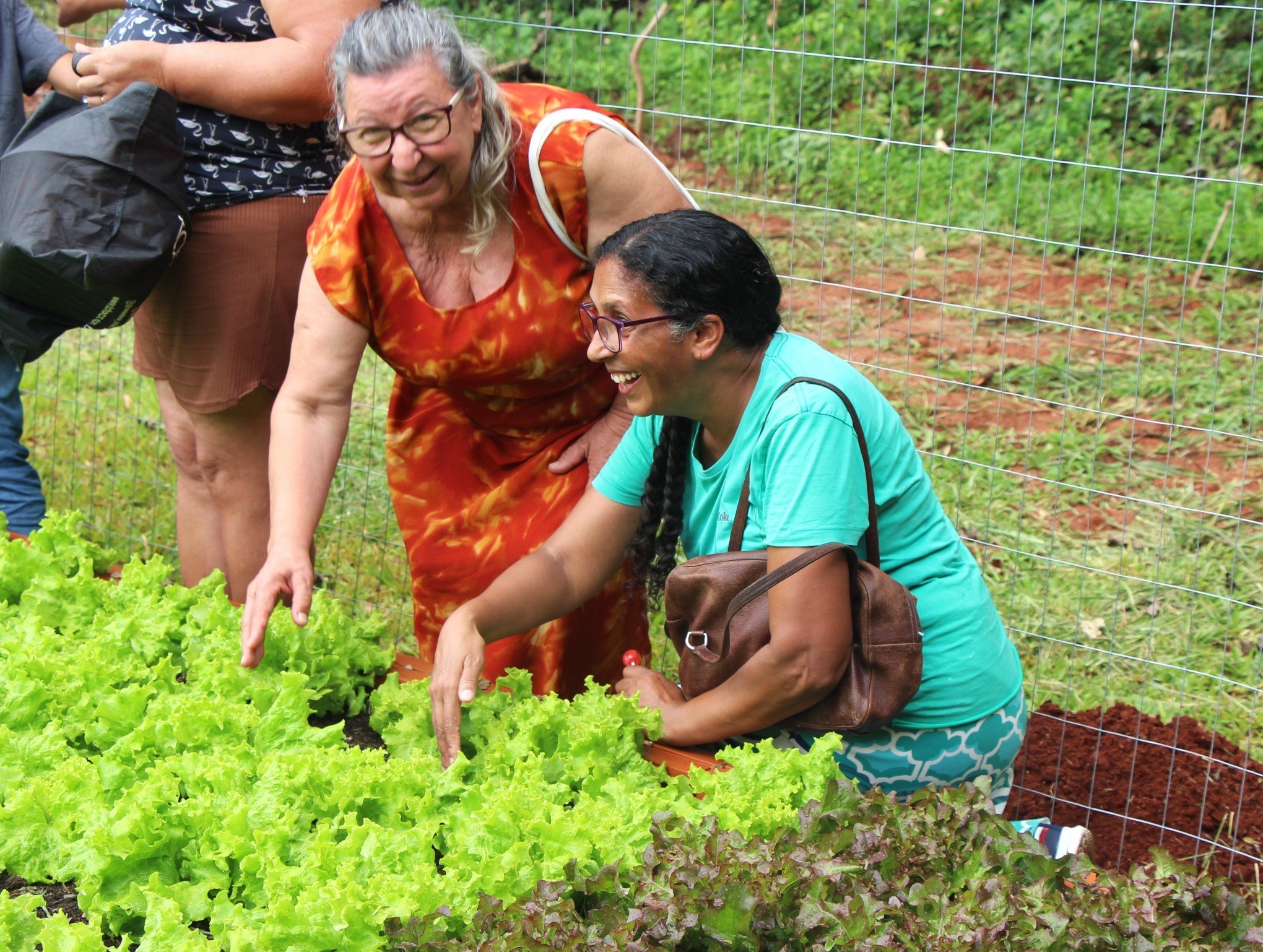 Horta comunitária fortalece cozinha solidária e beneficia famílias em Novo Hamburgo