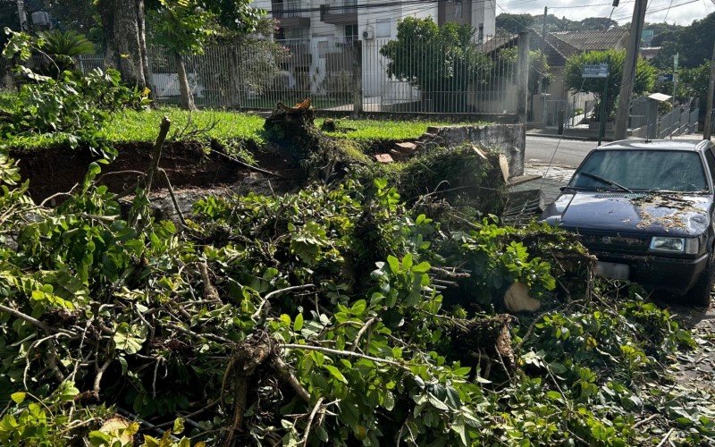 Árvore caída em Novo Hamburgo 