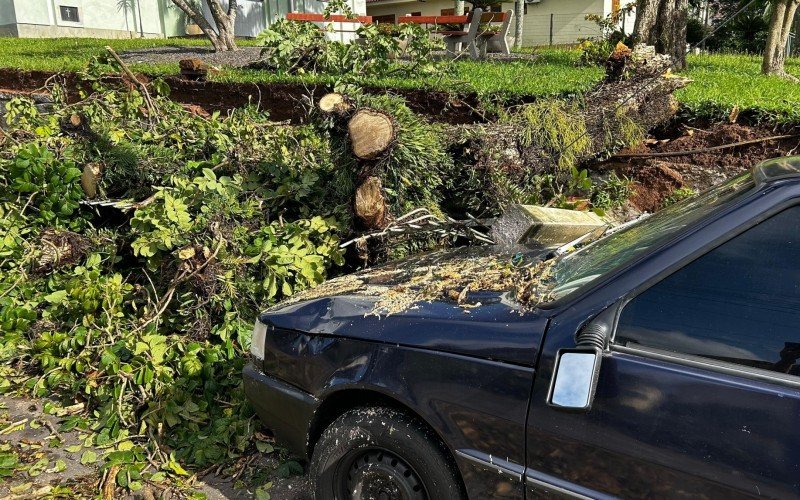 Carro atingido por árvore em Novo Hamburgo