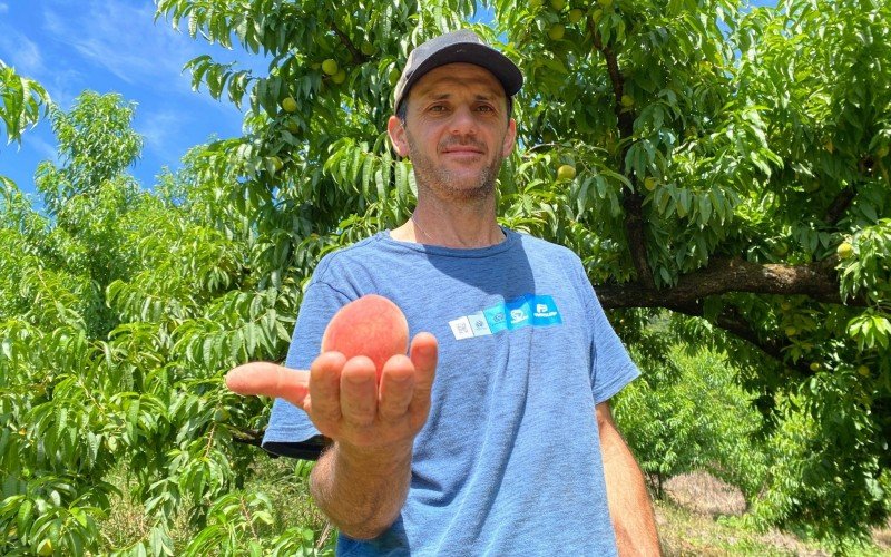 Família Cavichon trabalha há 30 anos com produção de pêssego em Gramado