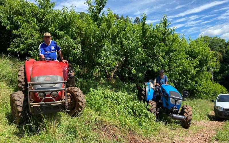 Tratores auxiliam nos procedimentos de produção e colheita da safra de pêssego em Gramado