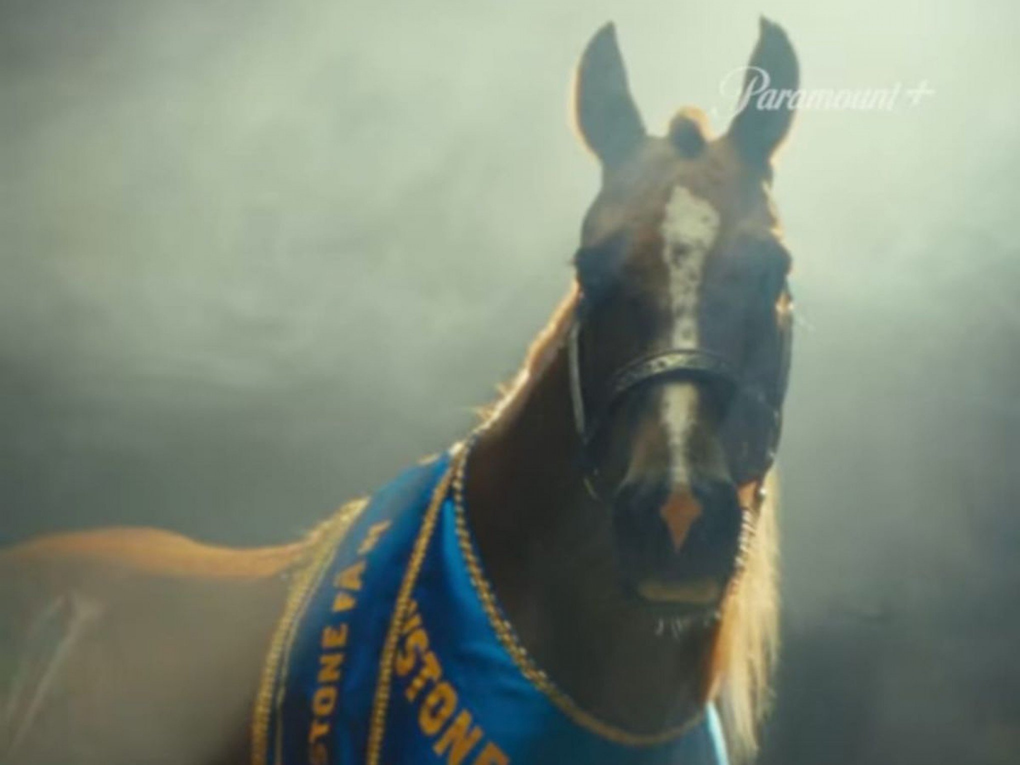 Cavalo Caramelo tem até dublê! Gravação para promover nova temporada de série internacional teve surpresa para acompanhante do animal