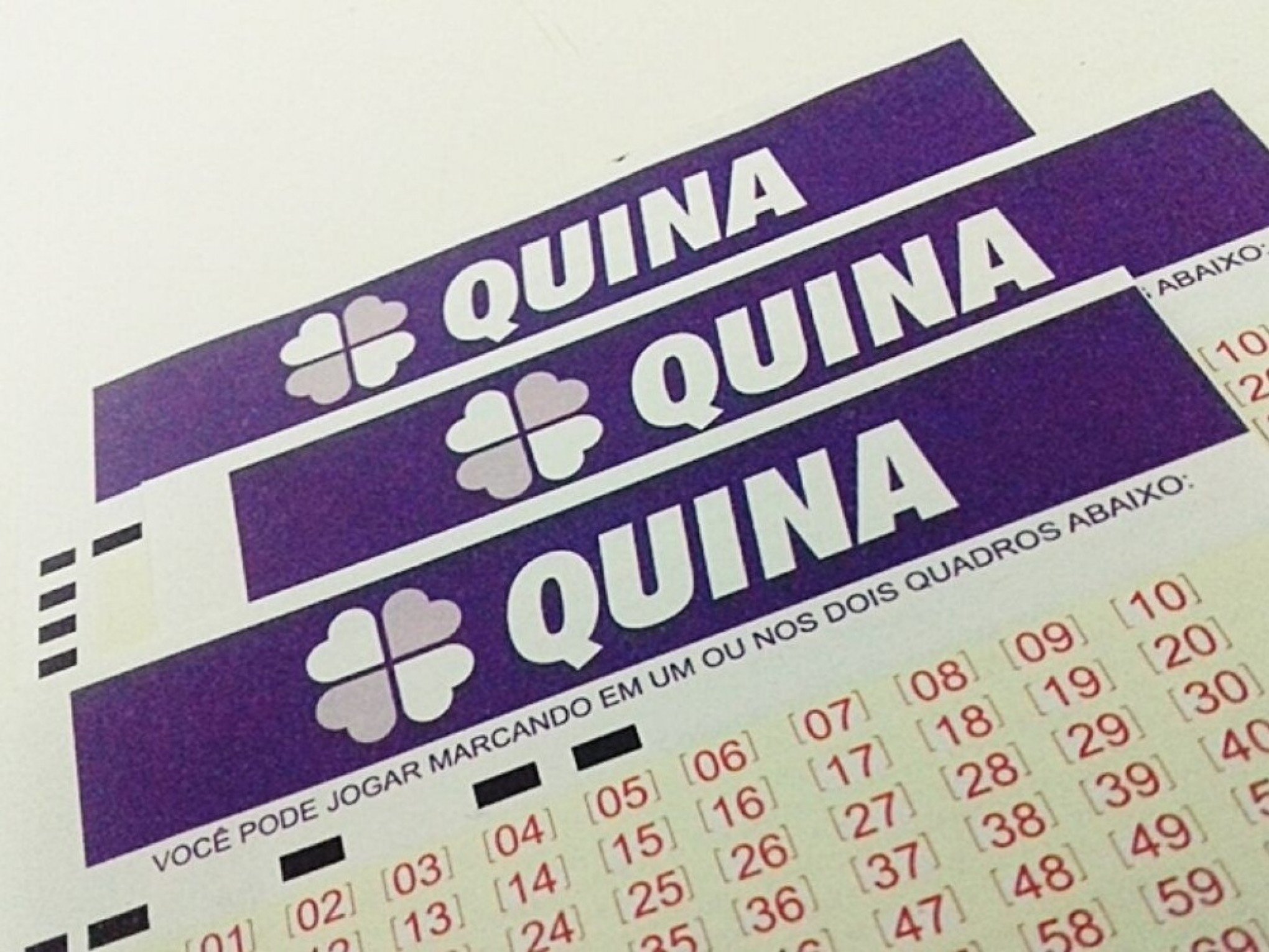 QUINA 6982: Veja as cinco dezenas sorteadas neste sábado (21)