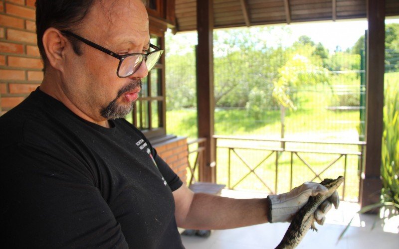 Biólogo Carlos Normann mantém o animal sob cuidados