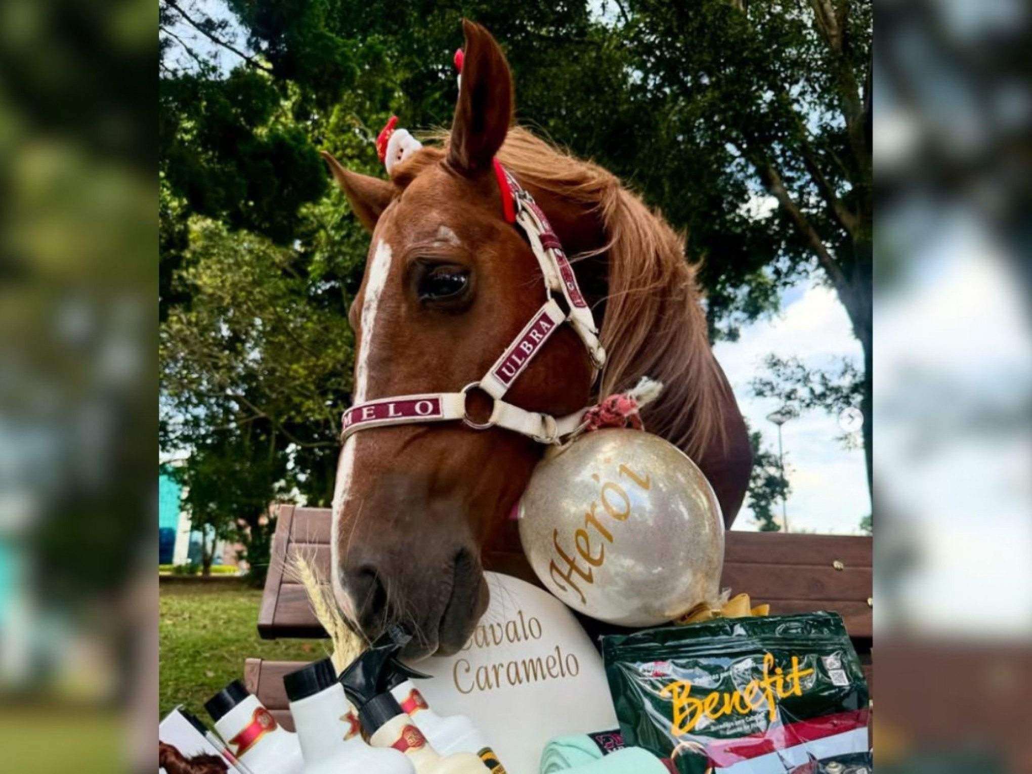 Cavalo Caramelo no Amigo Oculto do Fantástico: Veja o vídeo da troca de presentes