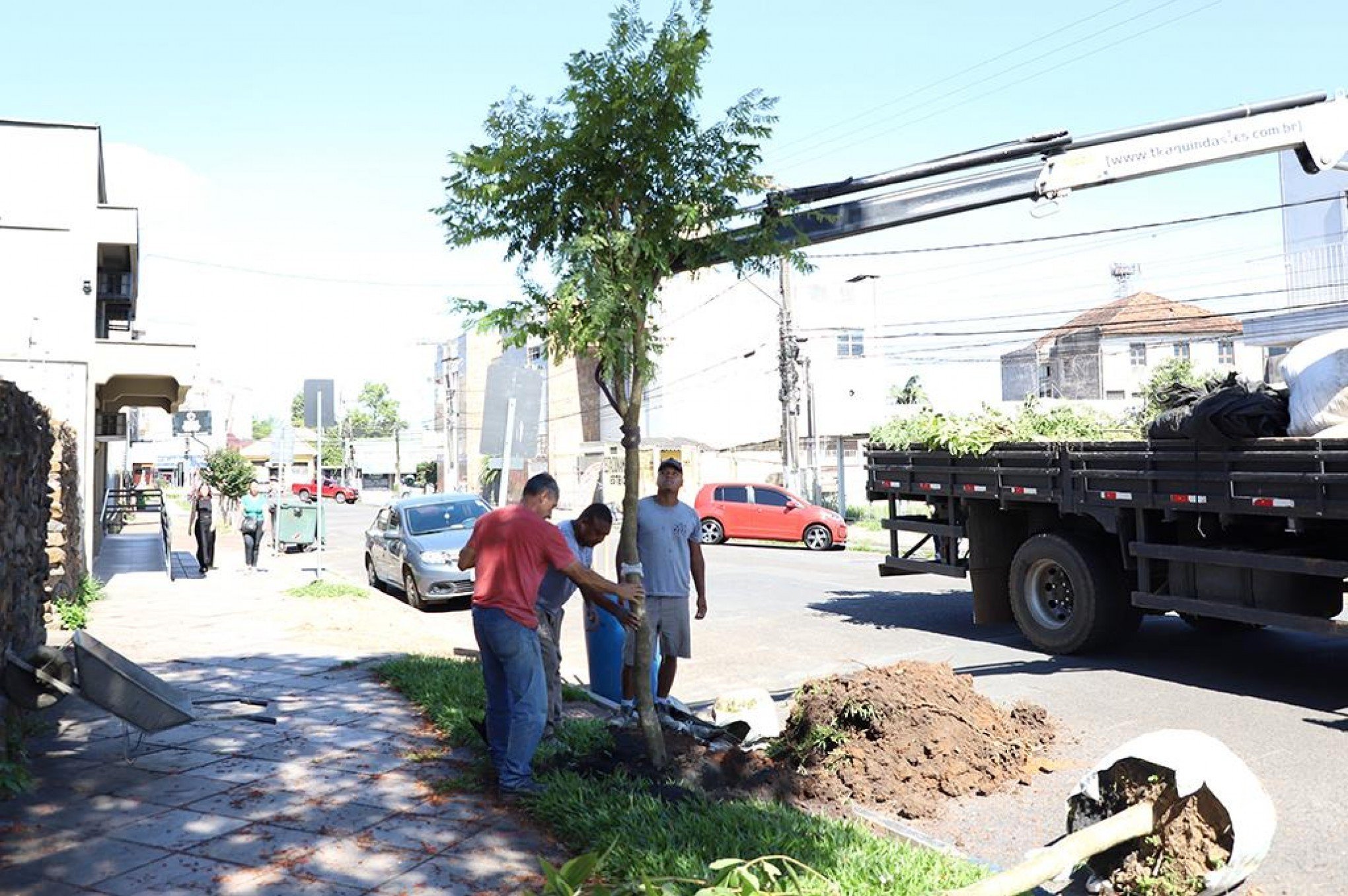 Esteio inicia novo projeto de arborização urbana; veja onde as árvores serão plantadas