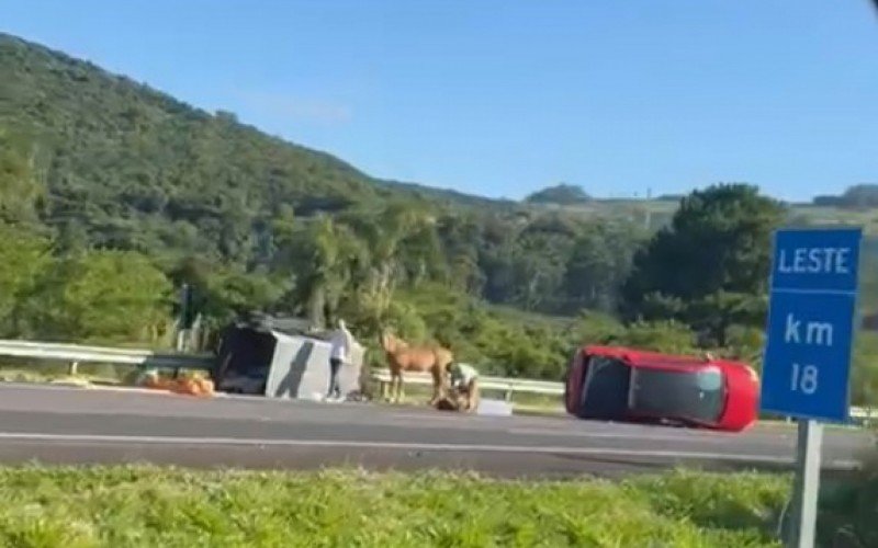 Carro com cavalo no reboque tomba na free way na manhã deste sábado (28) | abc+