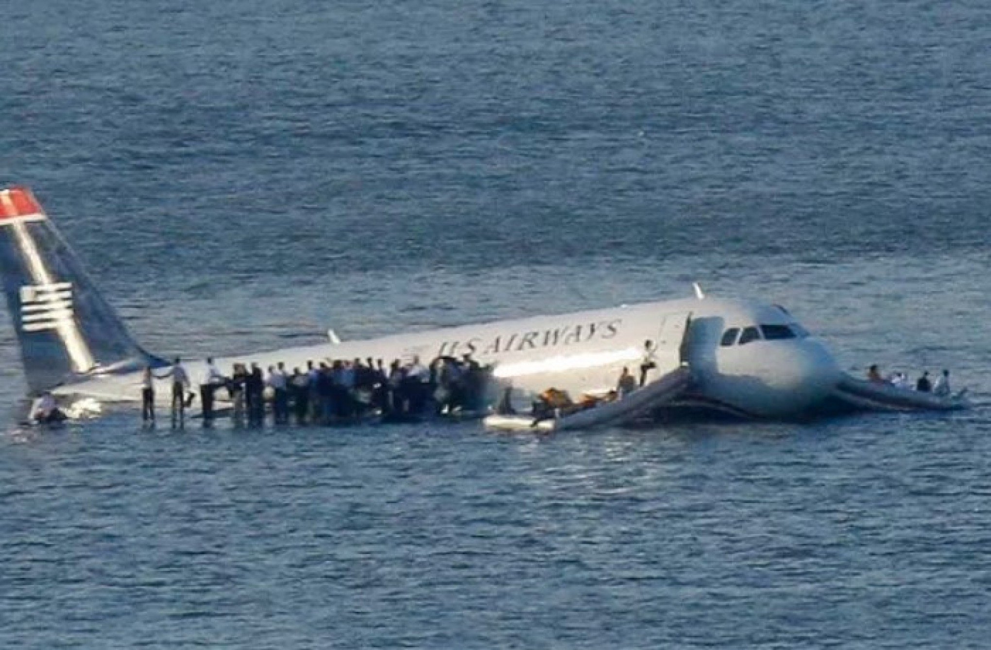 Pesadelo dos pilotos, pássaros estão por trás de muitos acidentes aéreos