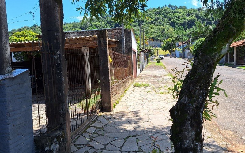 "É triste ver como terminou": Vizinho descreve momentos antes de homem em surto ser contido a tiros pela BM