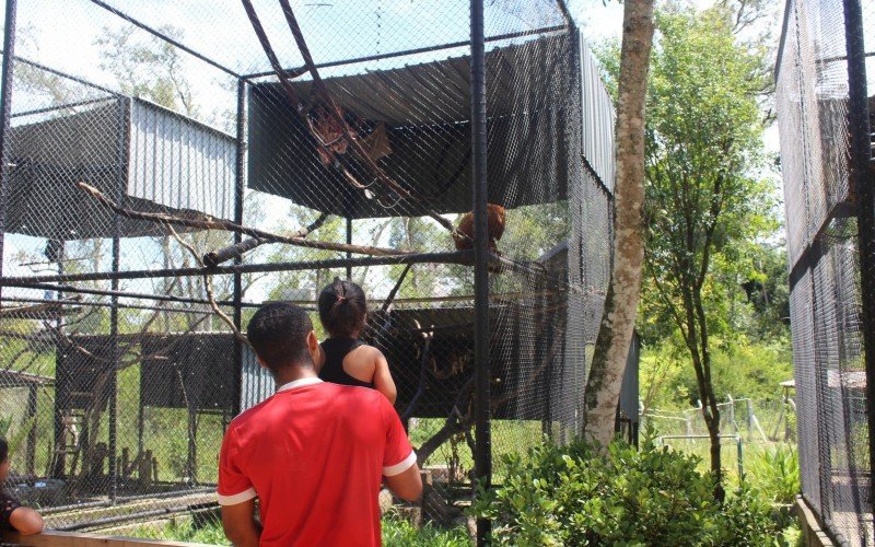 Cecília, 2 anos, no colo do pai Guilherme vendo os animais do MiniZoo de Canoas