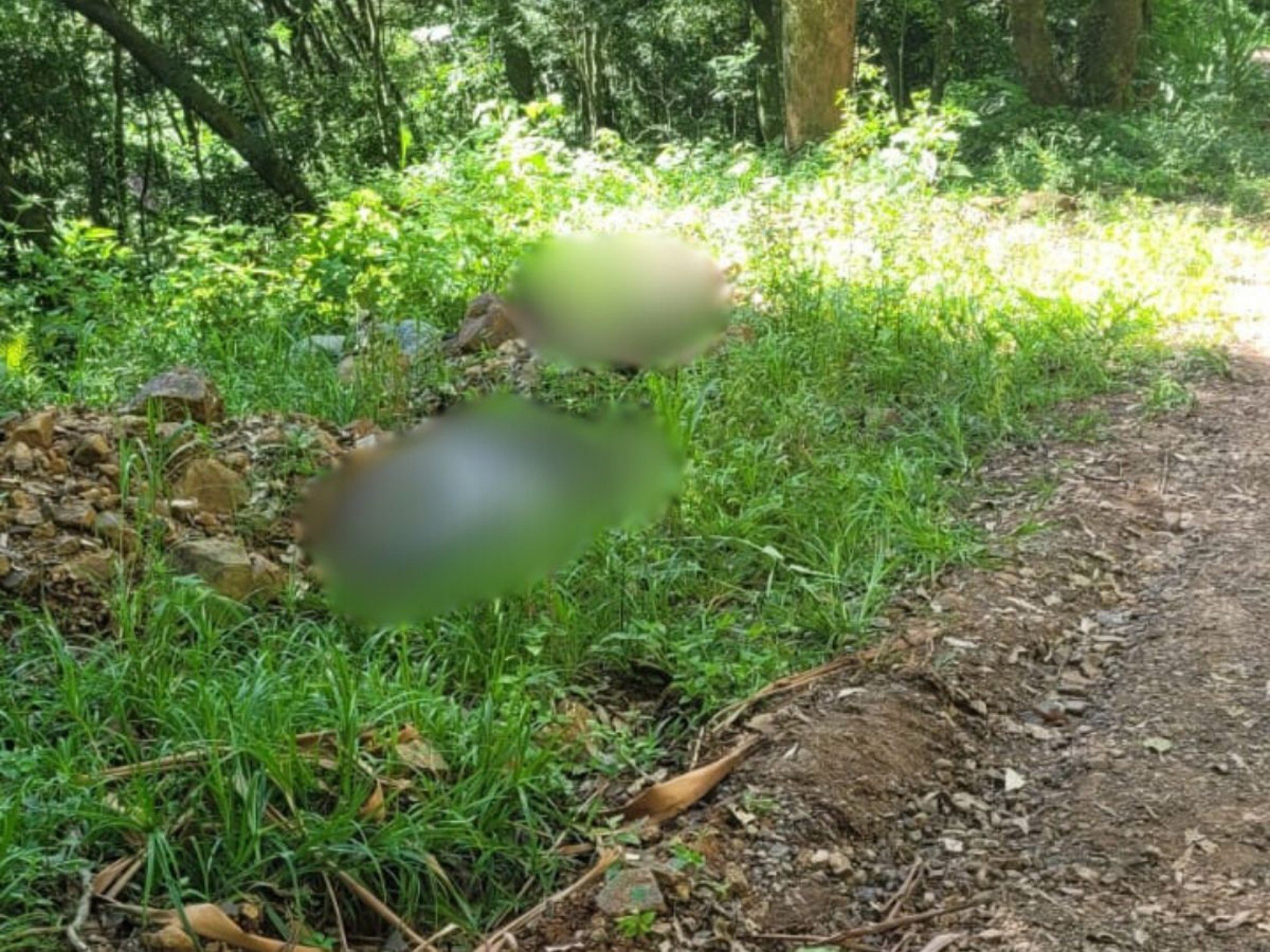 Homens encontrados mortos com as mãos amarradas em Riozinho eram irmãos