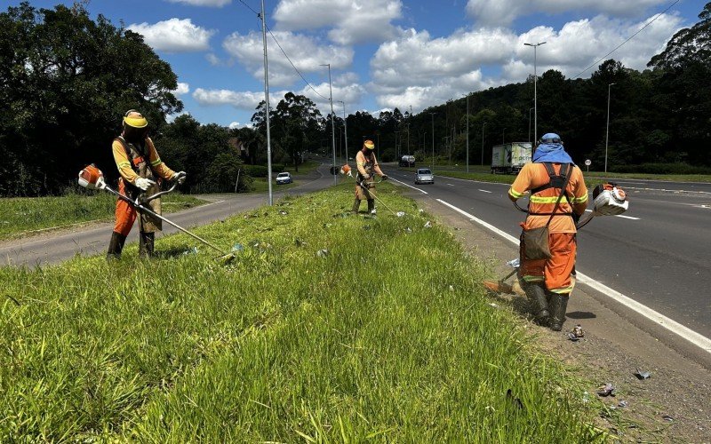 As ações de limpeza e roçada na RS-239 iniciaram pelo trecho de Novo Hamburgo nesta segunda-feira (6)