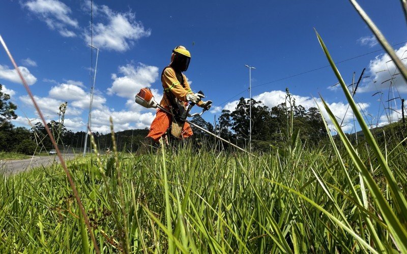 As ações de limpeza e roçada na RS-239 iniciaram pelo trecho de Novo Hamburgo nesta segunda-feira (6)