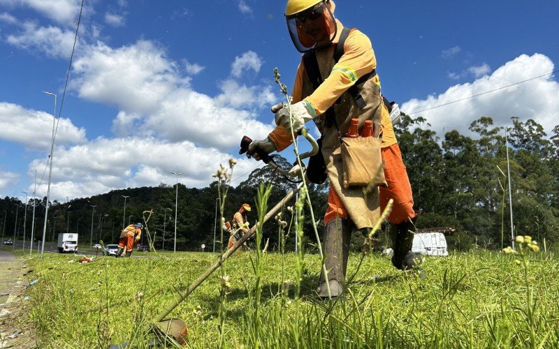 As ações de limpeza e roçada na RS-239 iniciaram pelo trecho de Novo Hamburgo nesta segunda-feira (6) | abc+