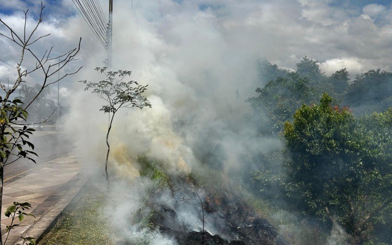 Incêndio de grandes proporções assusta motoristas em vegetação no acesso a Estância Velha | abc+