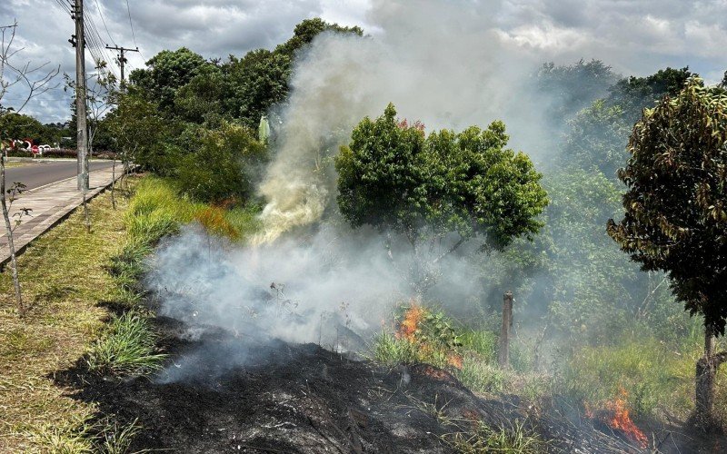 Incêndio de grandes proporções assusta motoristas em vegetação no acesso a Estância Velha | abc+