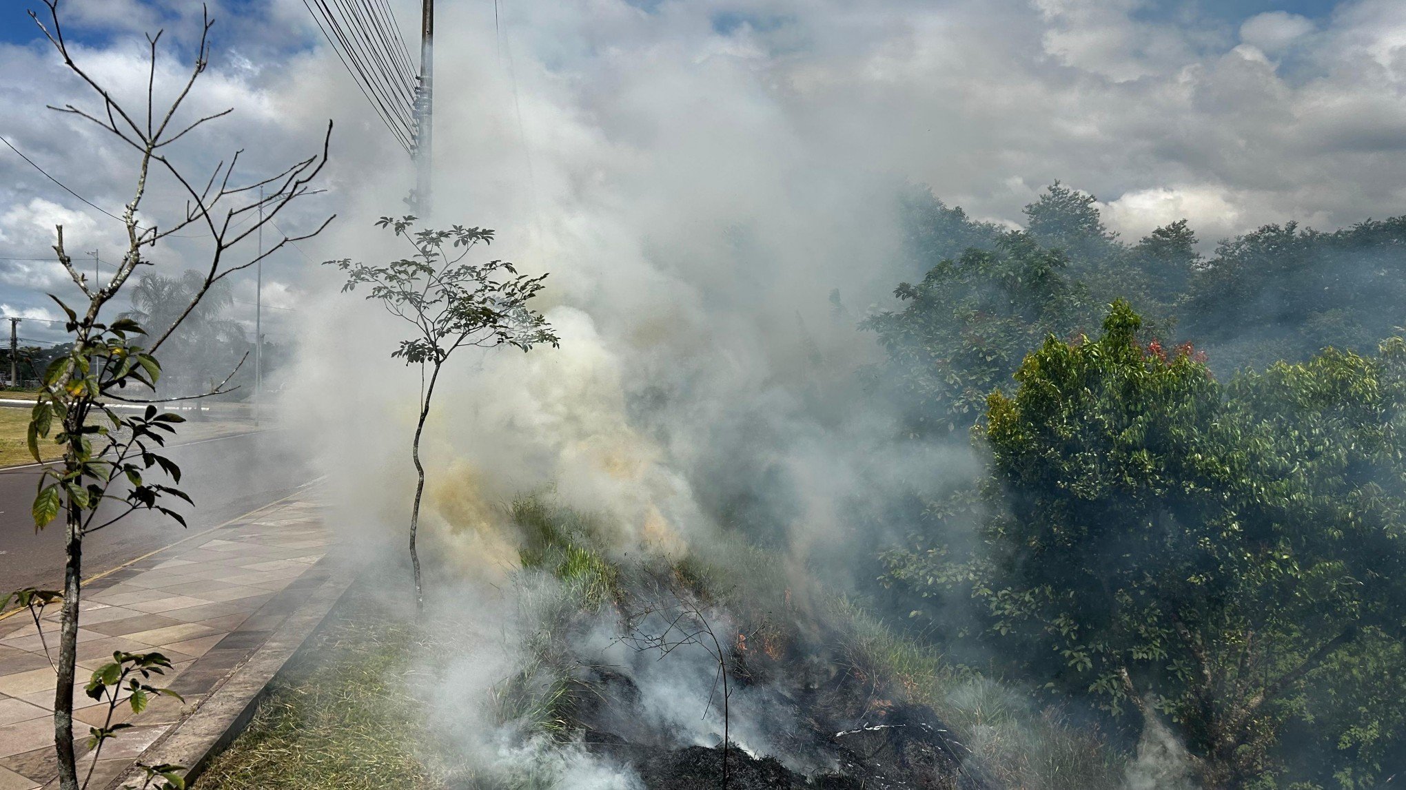 Incêndio de grandes proporções em vegetação assusta motoristas no acesso a Estância Velha