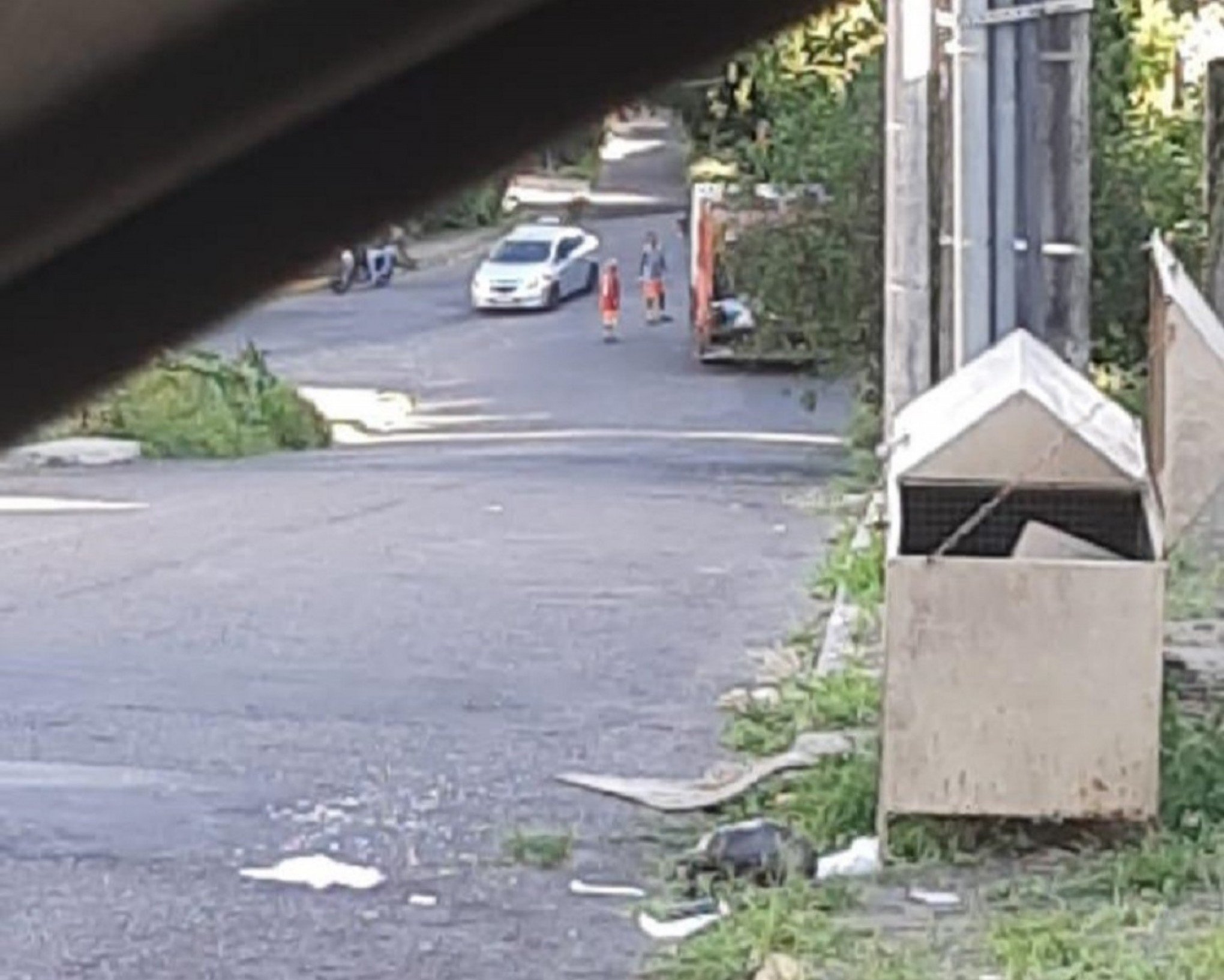 Moradores de Novo Hamburgo voltam a reclamar do serviço de coleta de lixo