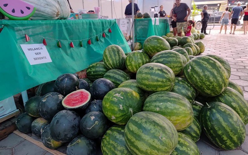 Festa da Melancia de Parobé | abc+