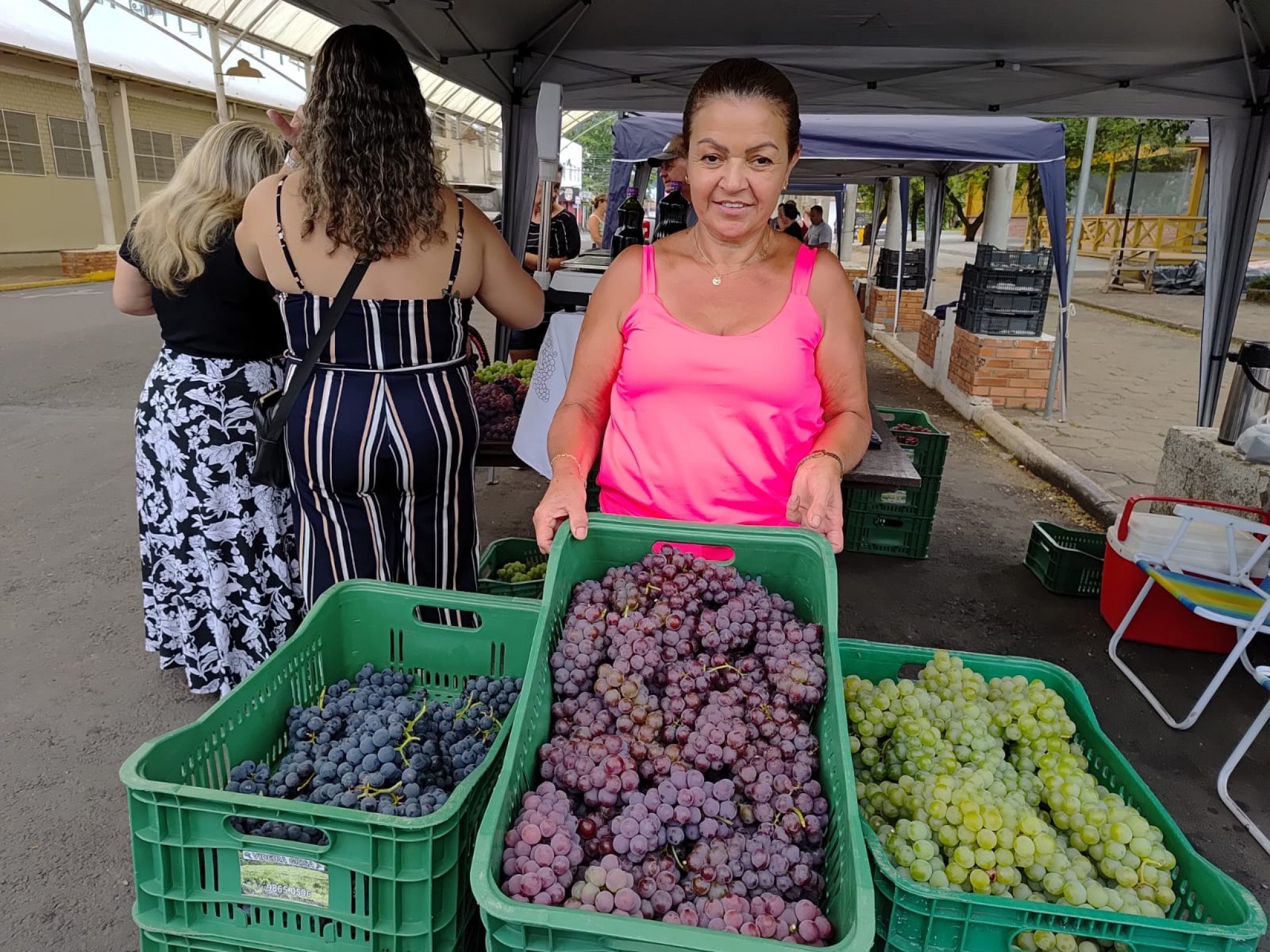 Tem uva para todos os gostos em Igrejinha; saiba quando ocorre a feira municipal