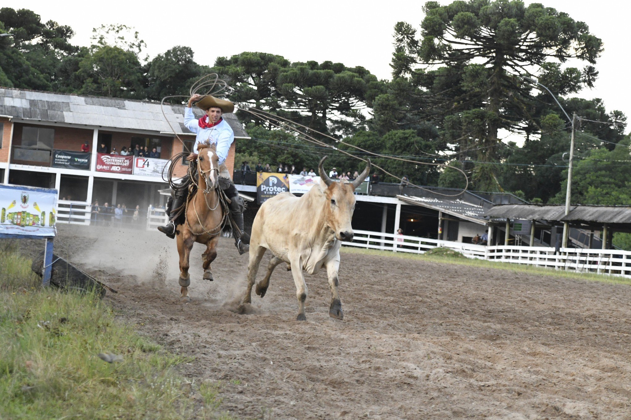 Rodeio de Canela completa 40 edições enaltecendo as raízes do Rio Grande do Sul