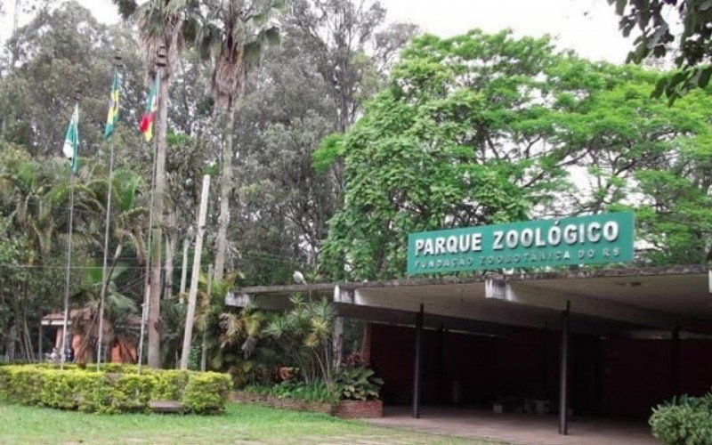 Leilão do Zoológico de Sapucaia do Sul é finalizado com venda de 100 animais; confira