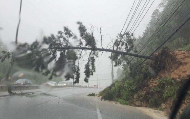 Além dos alagamentos, queda de barreiras e de árvores bloqueiam a SC-401 | abc+