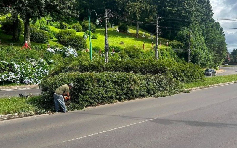 Serviço de poda de vegetação será realizado ao longo da semana na RS-235