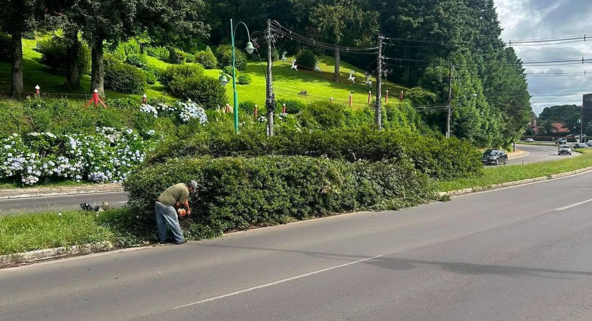 Serviço de poda de vegetação será realizado ao longo da semana na RS-235