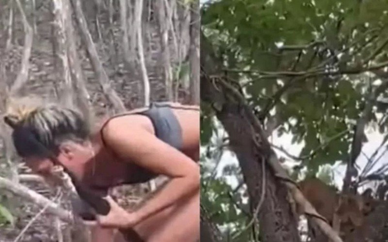 Mulher é procurada pelo Ibama por torturar e matar onça-parda | abc+